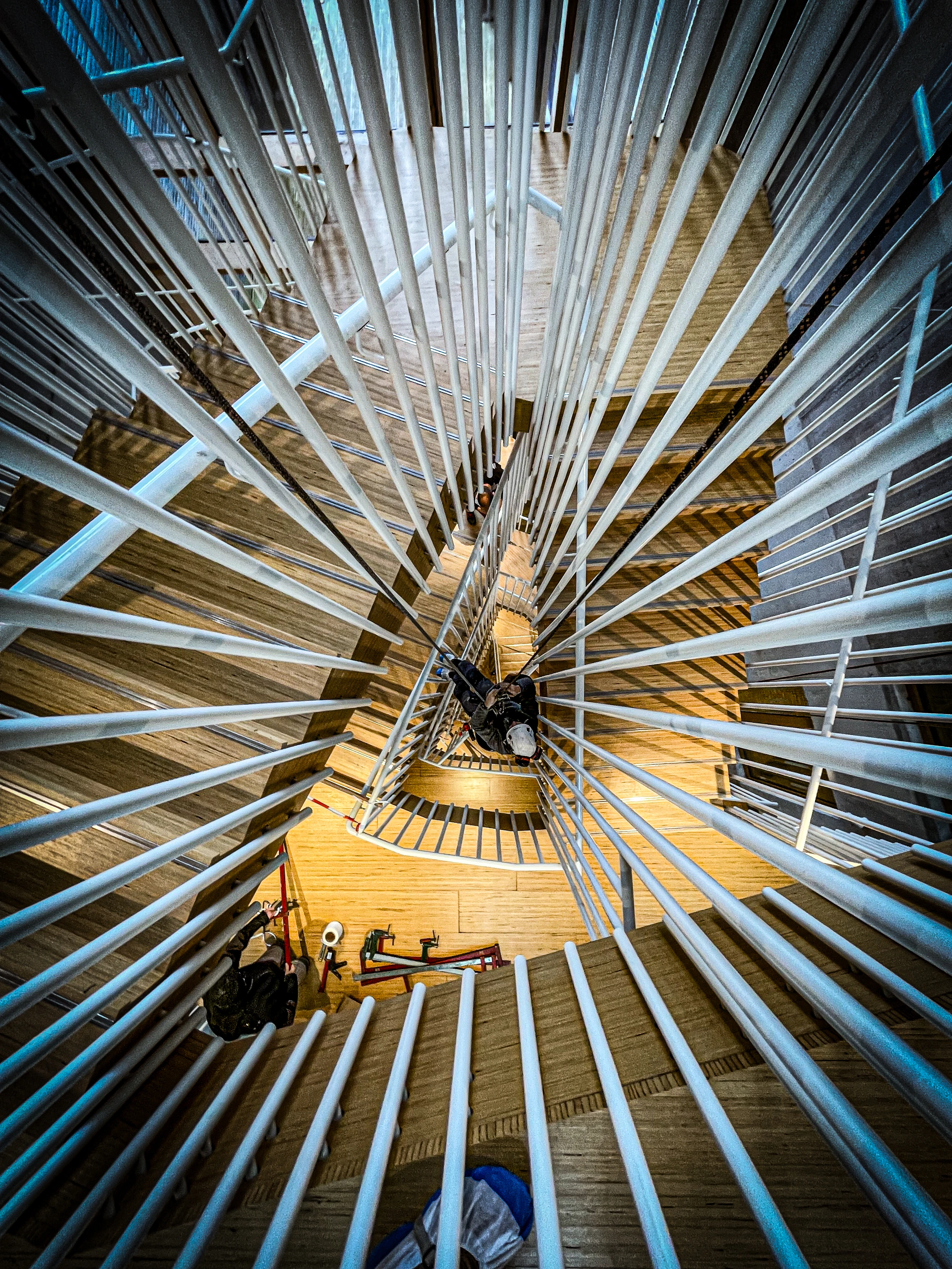 Intervention de cordistes MS Access pour escalier et design chez ATELIER AGENCEMENT à Bordeaux (bâtiment) – 1